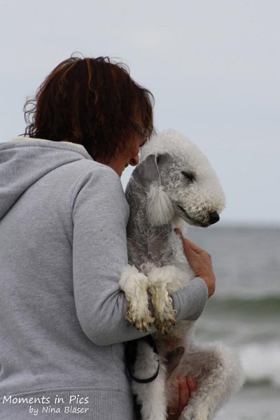 2010-06-26 Arc-en-ciel Arlequin (12).jpg